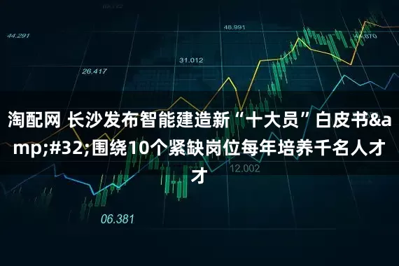 淘配网 长沙发布智能建造新“十大员”白皮书&#32;围绕10个紧缺岗位每年培养千名人才